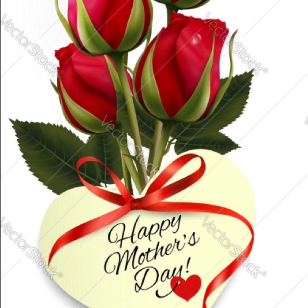 Meet your Posher, Shirley